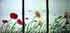 artiste peinture huile